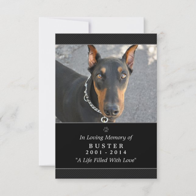 Pet Memorial Card 3,5" x 5" svart, modern foto Inbjudningar (Framsida)