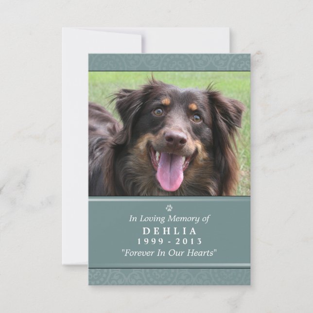 Pet Memorial Card 3.5x5 Teal Prayer för sällskapsd Meddelande (Framsida)