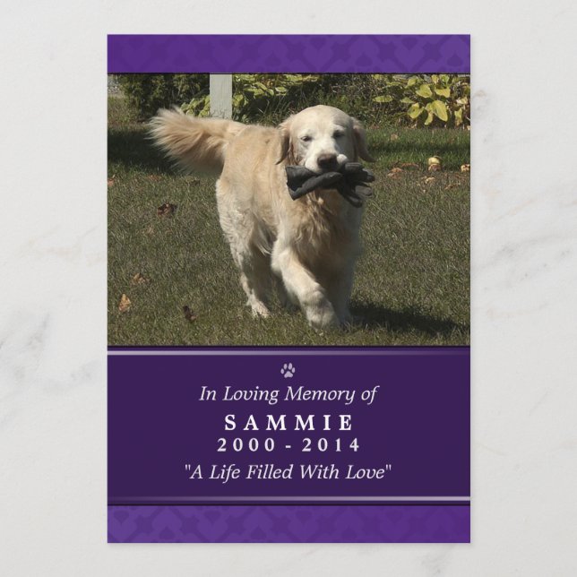 Pet Memorial Card 5"x7" Lila Photo - Manligt Pet Program (Framsida)