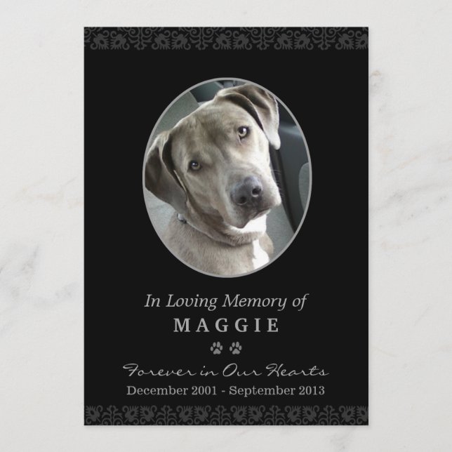 Pet Memorial Card 5" x 7" Black Oval Photo Ram Program (Framsida)