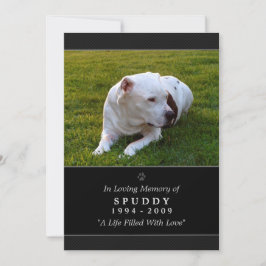 Pet Memorial Card 5 x 7 Black Photo Pet's Prayer Meddelande