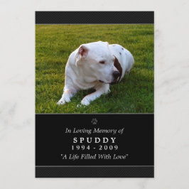 Pet Memorial Card 5 x 7 Black Photo Pet's Prayer Meddelande