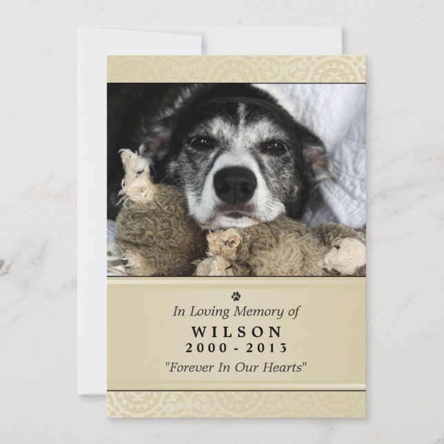 Pet Memorial Card 5"x 7" Creme Modern - Manligt sä Meddelande (Framsida)