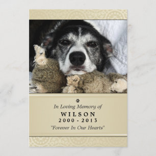 Pet Memorial Card 5"x 7" Creme Modern Photo Inbjudningar