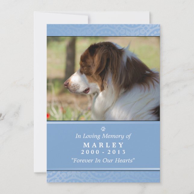Pet Memorial Card 5" x 7" Light Blue Pet's Prayer Meddelande (Framsida)