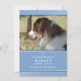Pet Memorial Card 5" x 7" Light Blue Pet's Prayer Meddelande
