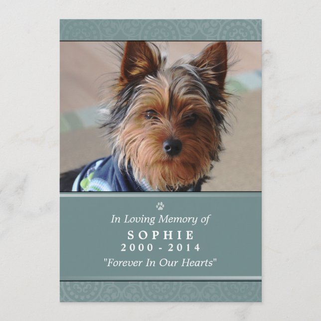 Pet Memorial Card 5"x 7" Teal Rainbow Bridge FEMAL Program (Framsida)