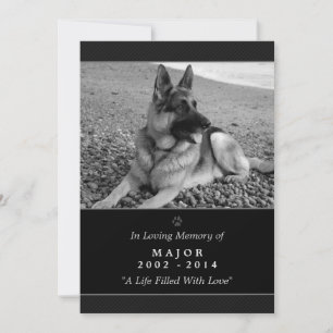 Pet Memorial Card 5x7 Black Rainbow Bridge Female Meddelande