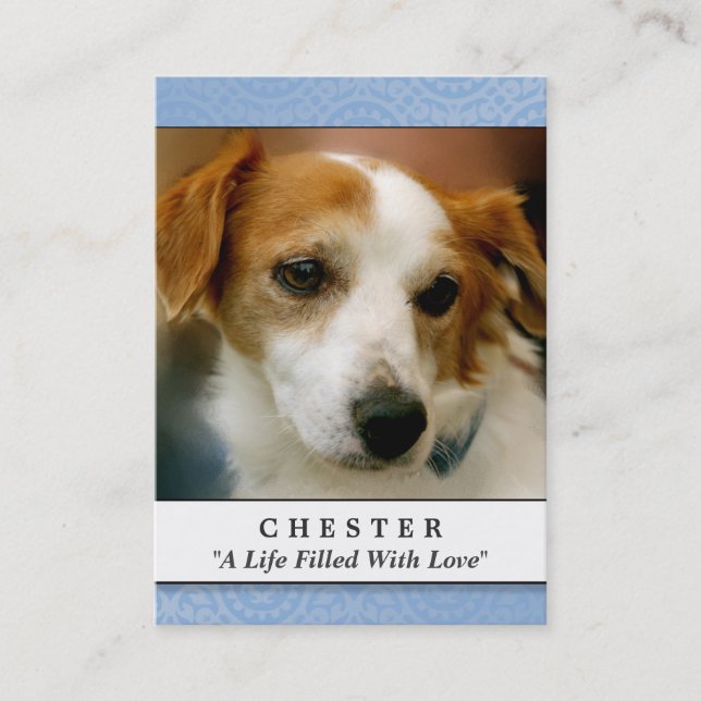 Pet Memorial Card Light Blue Contated Dikt Visitkort (Framsida)