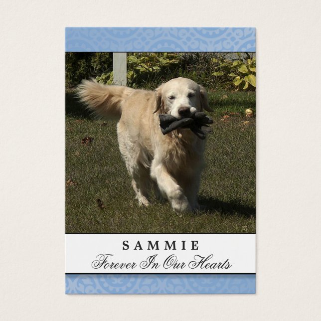 Pet Memorial Card Light Blue God såg dig Dikt Visitkort (Framsidan)