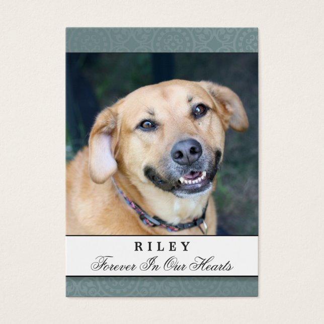 Pet Memorial Card Teal Modern Prayer för sällskaps Visitkort (Framsidan)