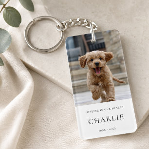 Pet Memorial Elegant av Hund-foto-in-lagringsmin