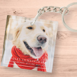 Pet Memorial för alltid i vår Heards-ramfoto