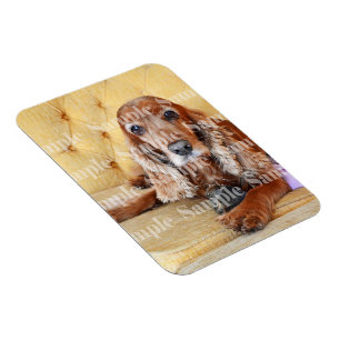 Pet memorial fotot PERSONALIZE Magnet