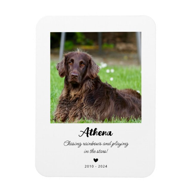 Pet Memorial Gift | I lagringsminne Magnet (Vertikal)