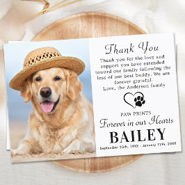 Pet Memorial Hund Loss Modern Photo Sympathy Tack Kort