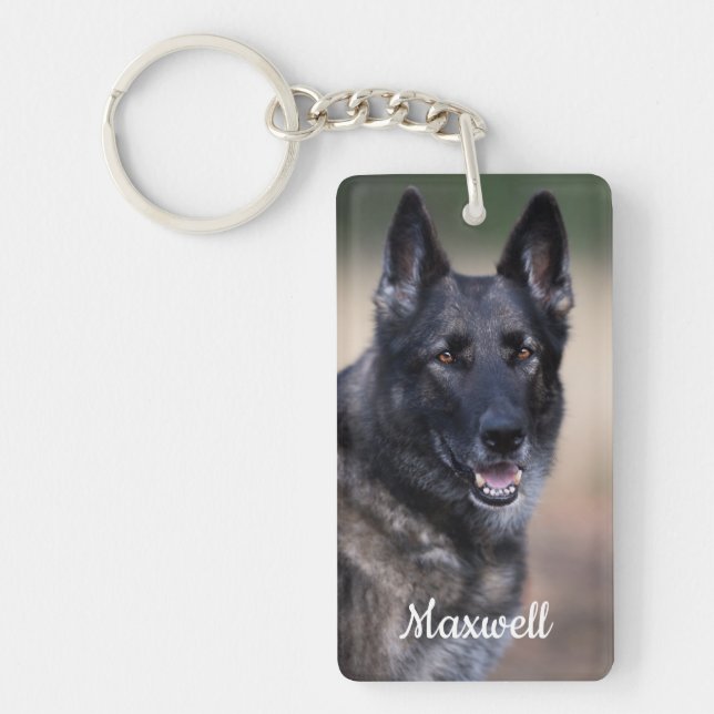 Pet Memorial Hund Photo Rainbow Bridge Pet Loss (Framsidan)
