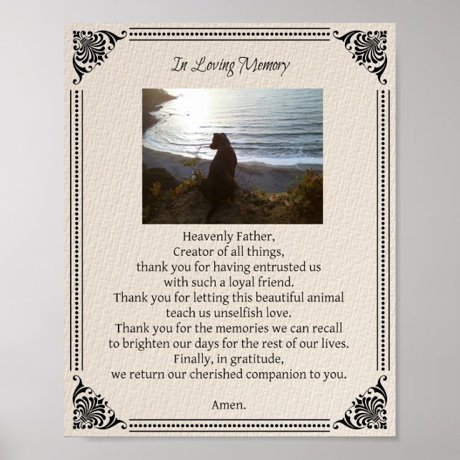 Pet Memorial Hund Prayer - Poster (Framsidan)