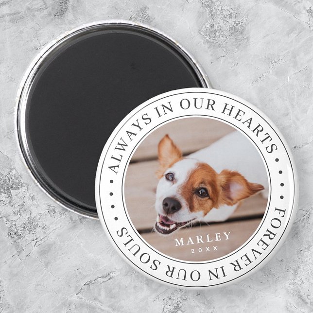 Pet Memorial i våra hjärtan - Modern foto Magnet (Skapare uppladdad)