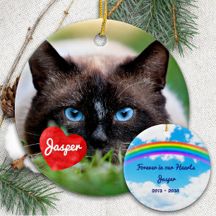 Pet Memorial in Loving Memory Cat Photo Julgransprydnad Keramik
