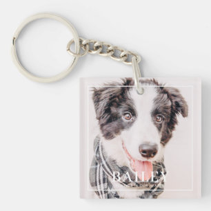 Pet Memorial Keepsak för alltid i vårt foto med