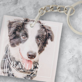 Pet Memorial Keepsak för alltid i vårt foto med hj
