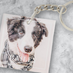 Pet Memorial Keepsak för alltid i vårt foto med hj