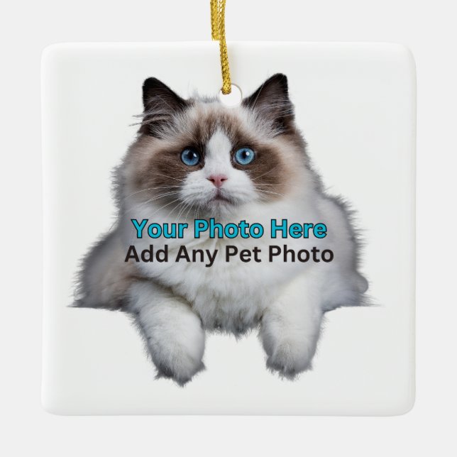 Pet Memorial/ Lägg till bild och anpassa Julgransprydnad Keramik (Framsida)