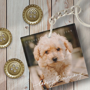 Pet Memorial Loving Memory Simple Modern Photo