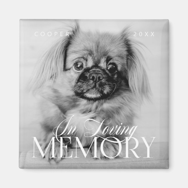 Pet Memorial Loving Memory Simple Modern Photo Magnet (Framsidan)