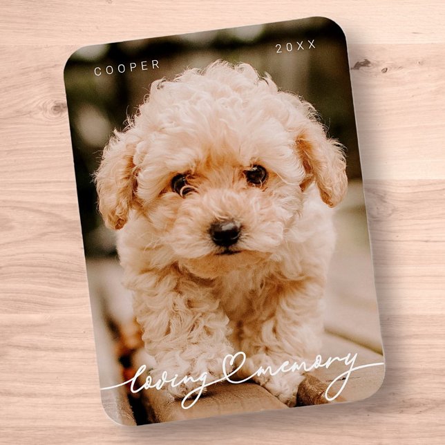 Pet Memorial Loving Memory Simple Modern Photo Magnet (Skapare uppladdad)