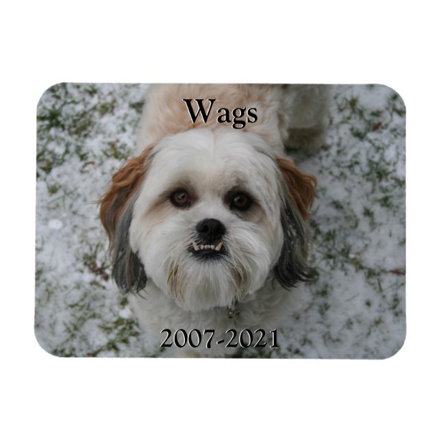 Pet Memorial Magnet (Horisontell)