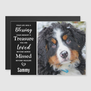 Pet Memorial Memory Magnet