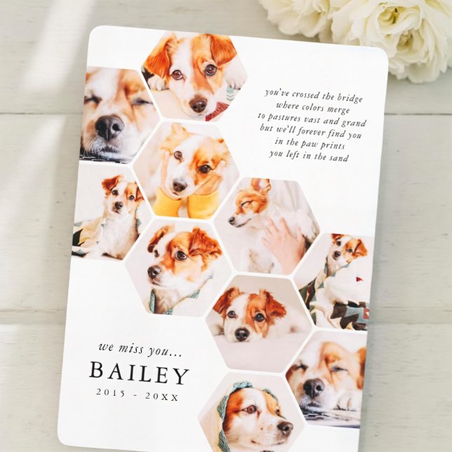 Pet Memorial Modern Simple 10 Photo Collage Card (Skapare uppladdad)