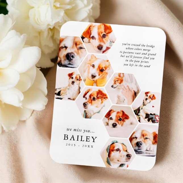 Pet Memorial Modern Simple 10 Photo Collage Card Magnet (Skapare uppladdad)