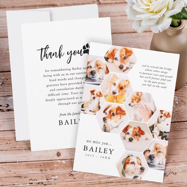 Pet Memorial Modern Simple 10 Photo Collage Tack Kort (Skapare uppladdad)