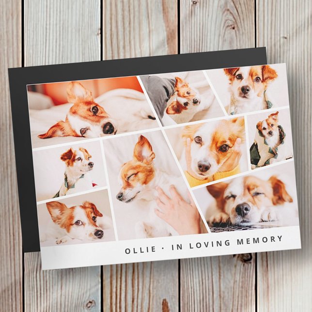 Pet Memorial Modern Simple 9 Photo Collage Card (Skapare uppladdad)