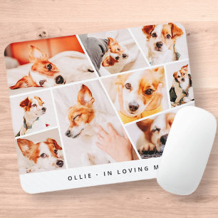 Pet Memorial Modern Simple Chic 9 Photos Collage Musmatta