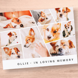 Pet Memorial Modern Simple Chic 9 Photos Collage Vykort
