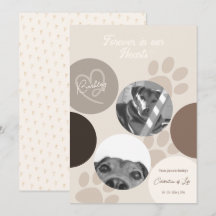 Pet Memorial Modern Simple Firande of Life