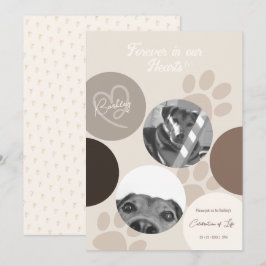 Pet Memorial Modern Simple Firande of Life Meddelande