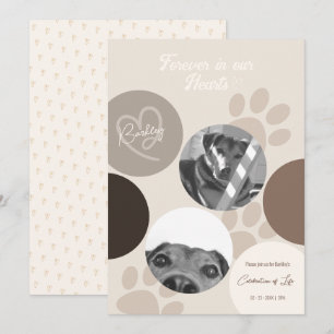 Pet Memorial Modern Simple Firande of Life Meddelande
