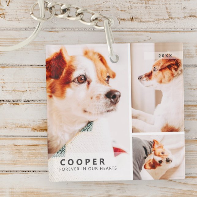 Pet Memorial Modern Simple Geometric Photo Collage (Skapare uppladdad)