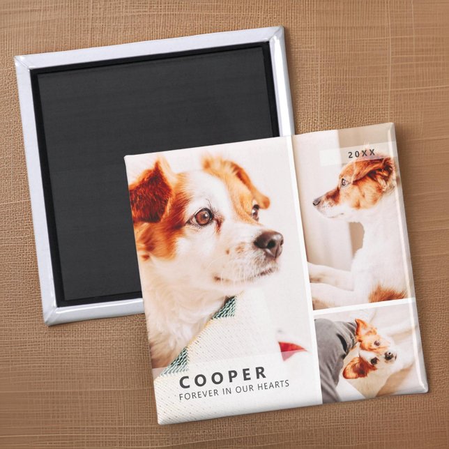 Pet Memorial Modern Simple Geometric Photo Collage Magnet (Skapare uppladdad)