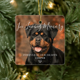 Pet Memorial Personlig Photo Ceramic Ornament