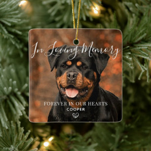 Pet Memorial Personlig Photo Ceramic Ornament