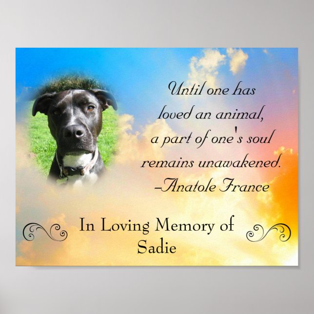 Pet Memorial - Pet-förlustoffert Poster (Framsidan)