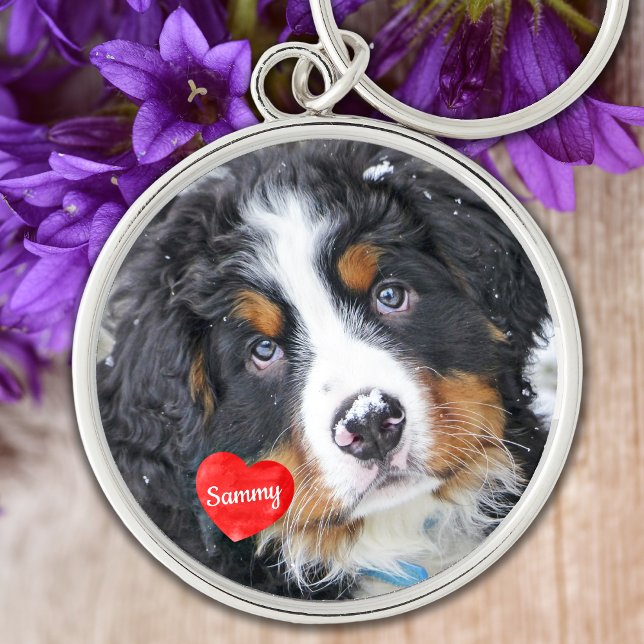 Pet Memorial Pet Loss Gift Sympathy Hund Photo Rund Silverfärgad Nyckelring (Skapare uppladdad)