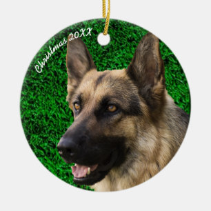 Pet Memorial Pet Loss Keepsaké Gift Photo Julgransprydnad Keramik