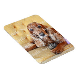 Pet memorial phop PERSONALIZE Magnet